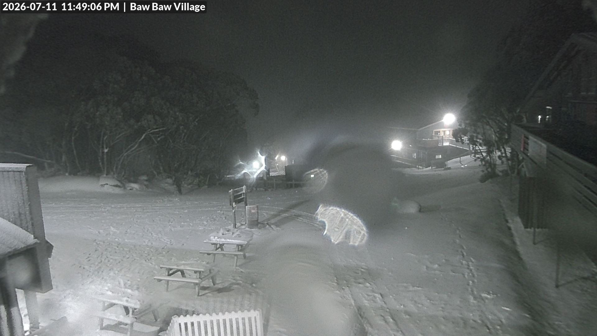 Mt Baw Baw Baw Baw Village snow cam captured at 11 July 2026 at 11:50 pm AEST