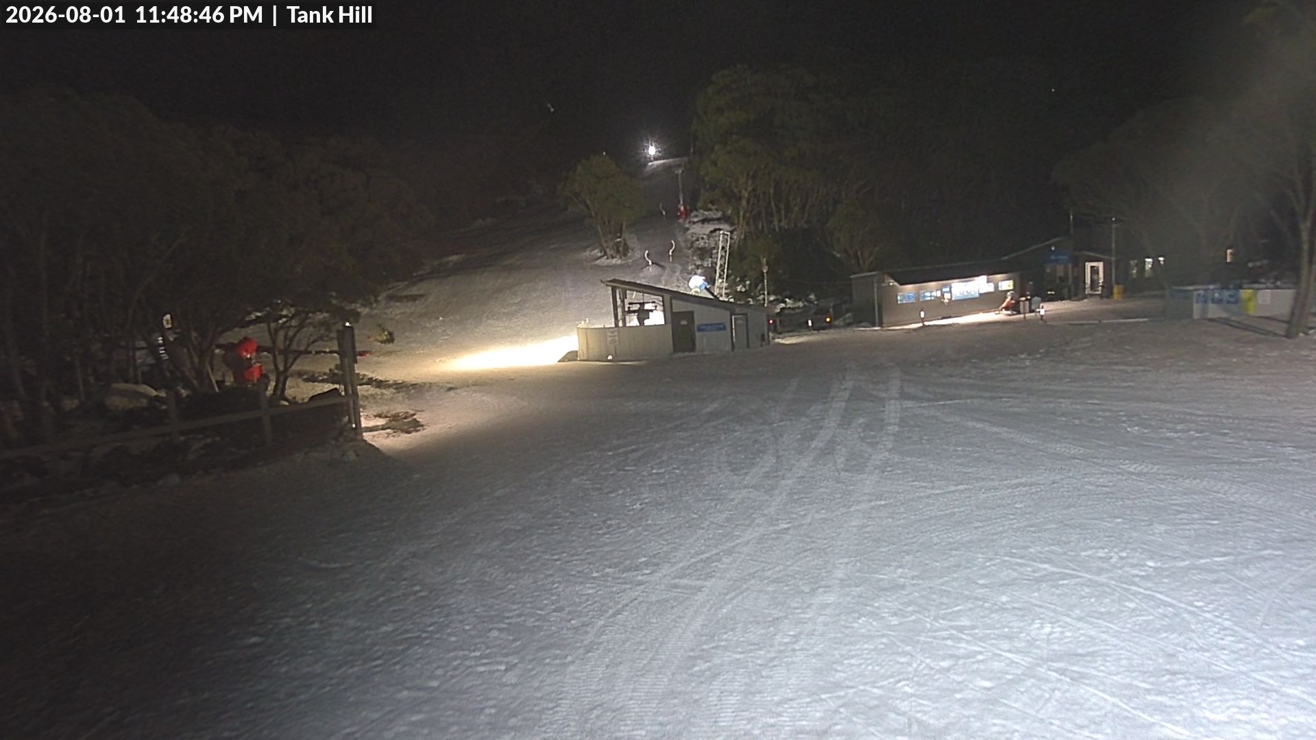 Mt Baw Baw Tank Hill snow cam captured at 1 August 2026 at 11:53 pm AEST