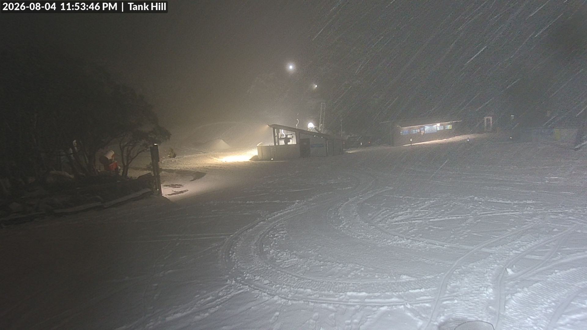 Mt Baw Baw Tank Hill snow cam captured at 4 August 2026 at 11:54 pm AEST