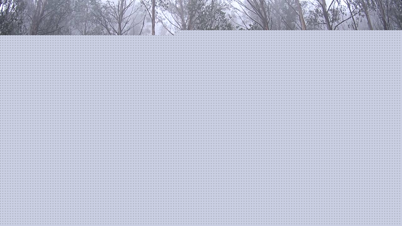 Mt Stirling Telephone Box Junction snow cam captured at 9 June 2026, 6:40 am
