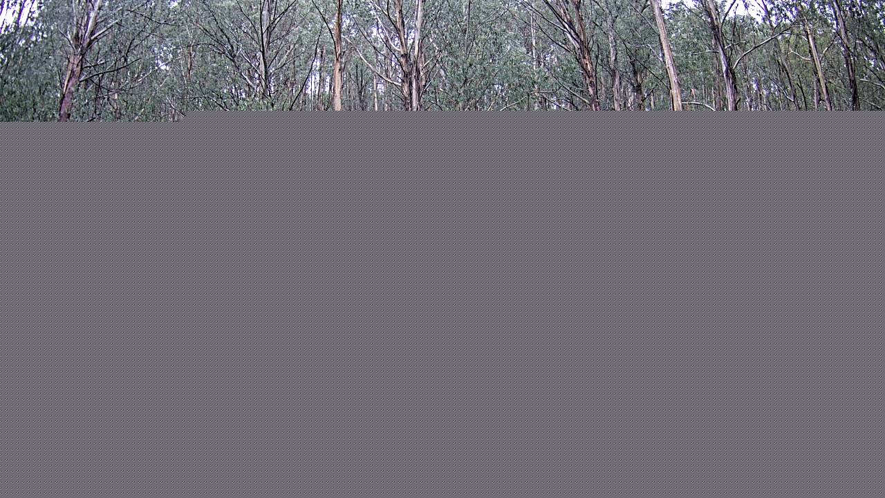 Mt Stirling Telephone Box Junction snow cam captured at 9 June 2026, 11:40 pm