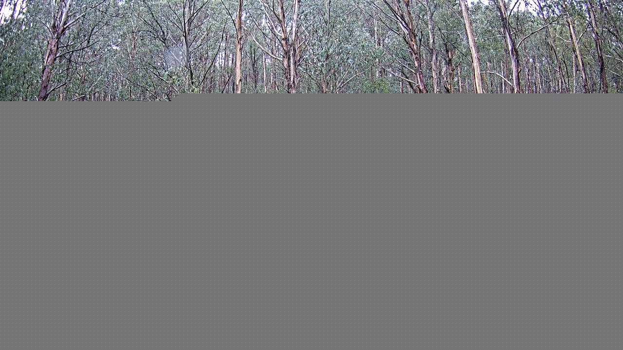 Mt Stirling Telephone Box Junction snow cam captured at 10 June 2026, 12:10 am