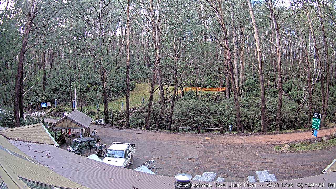 Mt Stirling Telephone Box Junction snow cam captured at 11 June 2026, 5:02 am