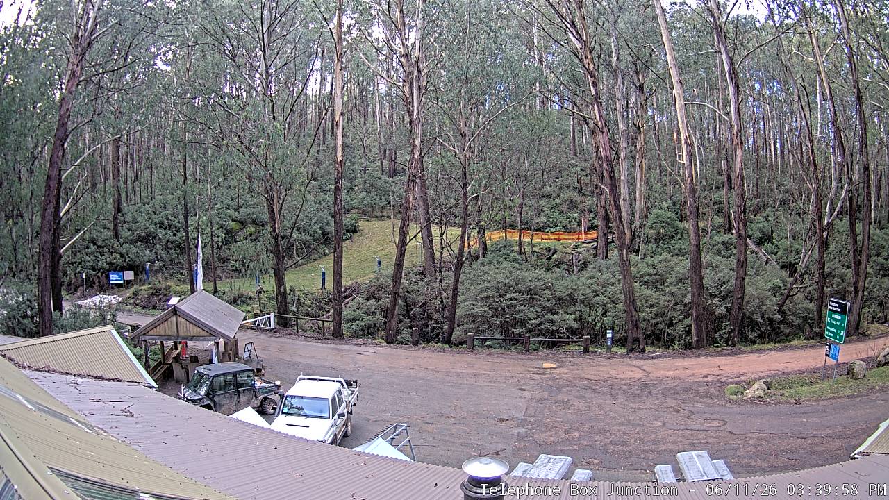 Mt Stirling Telephone Box Junction snow cam captured at 11 June 2026, 5:44 am