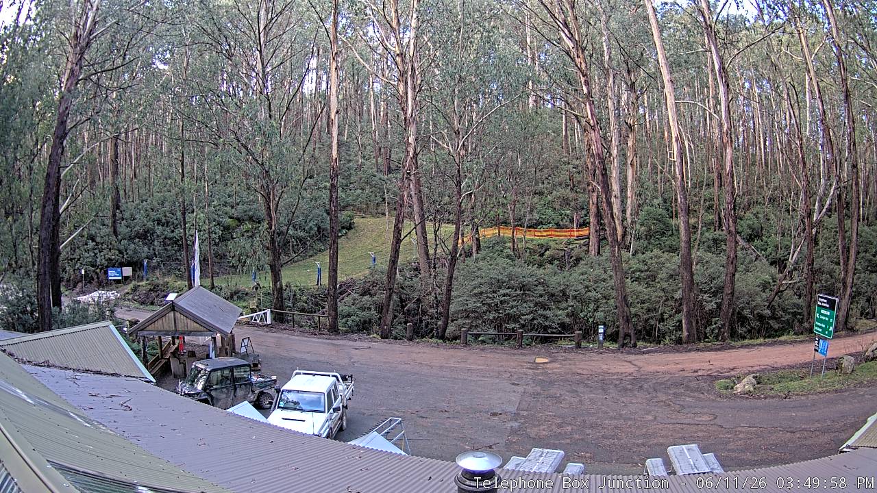 Mt Stirling Telephone Box Junction snow cam captured at 11 June 2026, 5:56 am