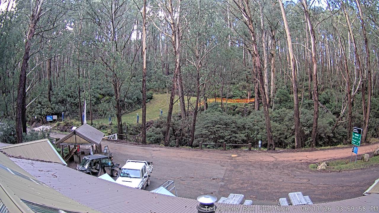 Mt Stirling Telephone Box Junction snow cam captured at 11 June 2026, 6:02 am
