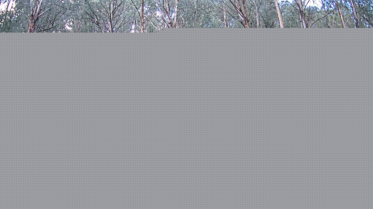 Mt Stirling Telephone Box Junction snow cam captured at 11 June 2026, 6:20 am