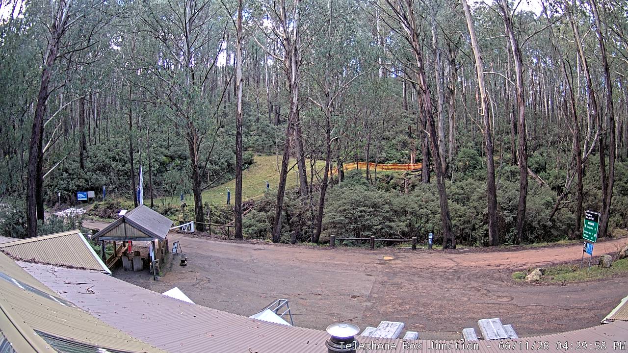 Mt Stirling Telephone Box Junction snow cam captured at 11 June 2026, 6:32 am