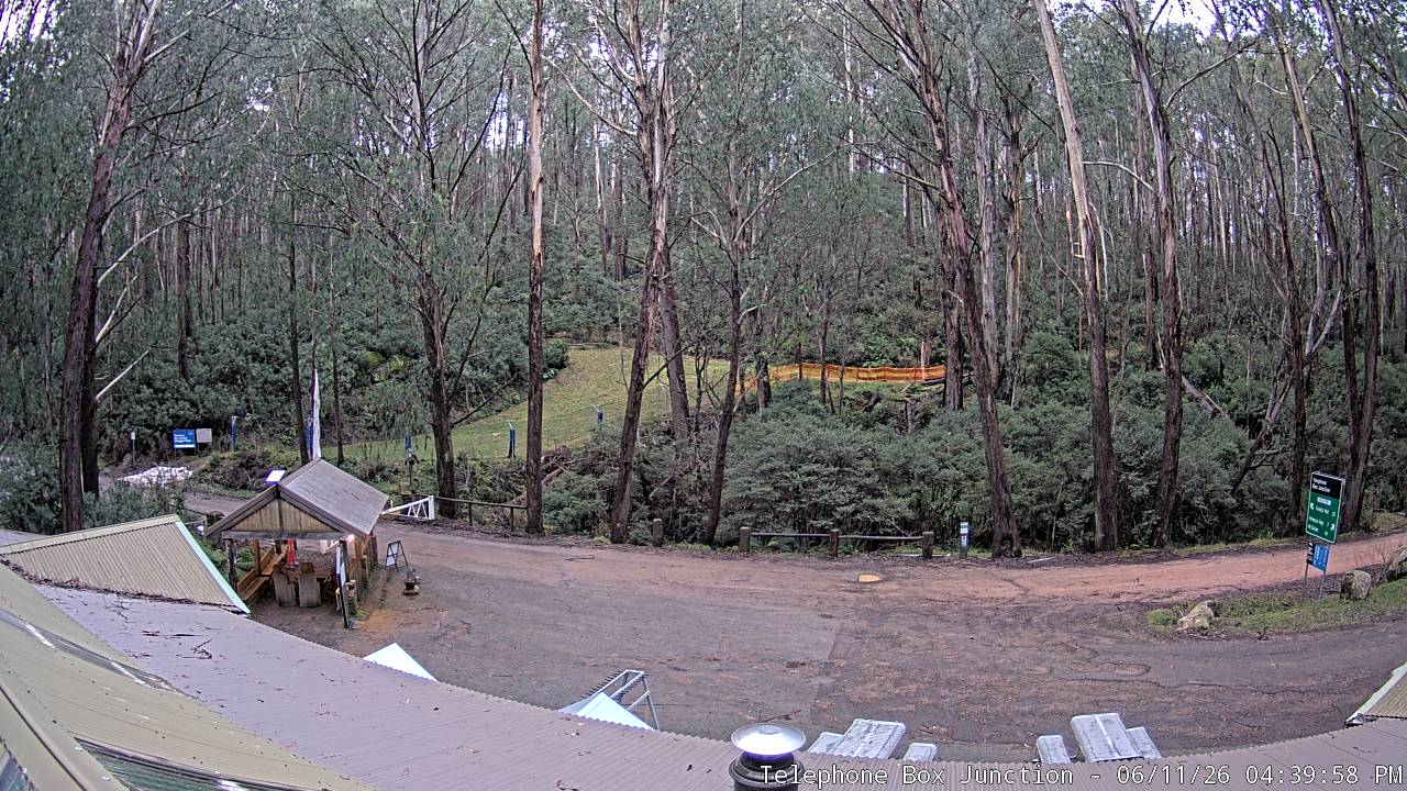 Mt Stirling Telephone Box Junction snow cam captured at 11 June 2026, 6:44 am