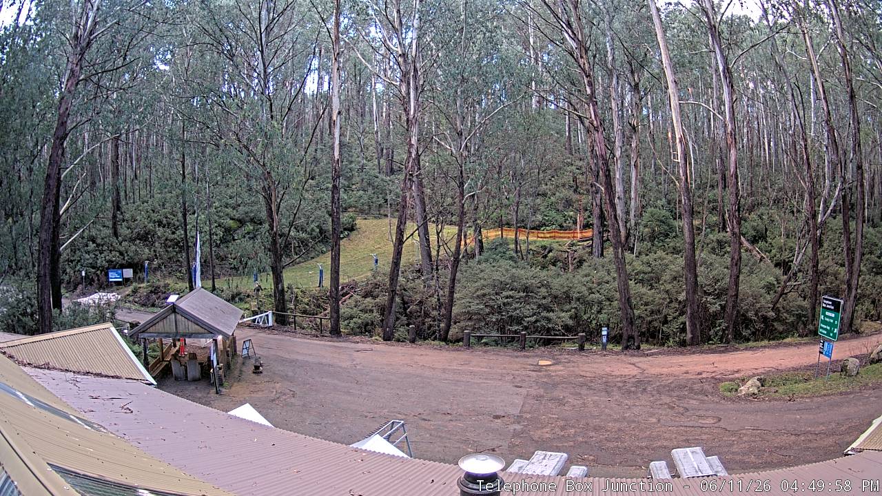 Mt Stirling Telephone Box Junction snow cam captured at 11 June 2026, 6:56 am