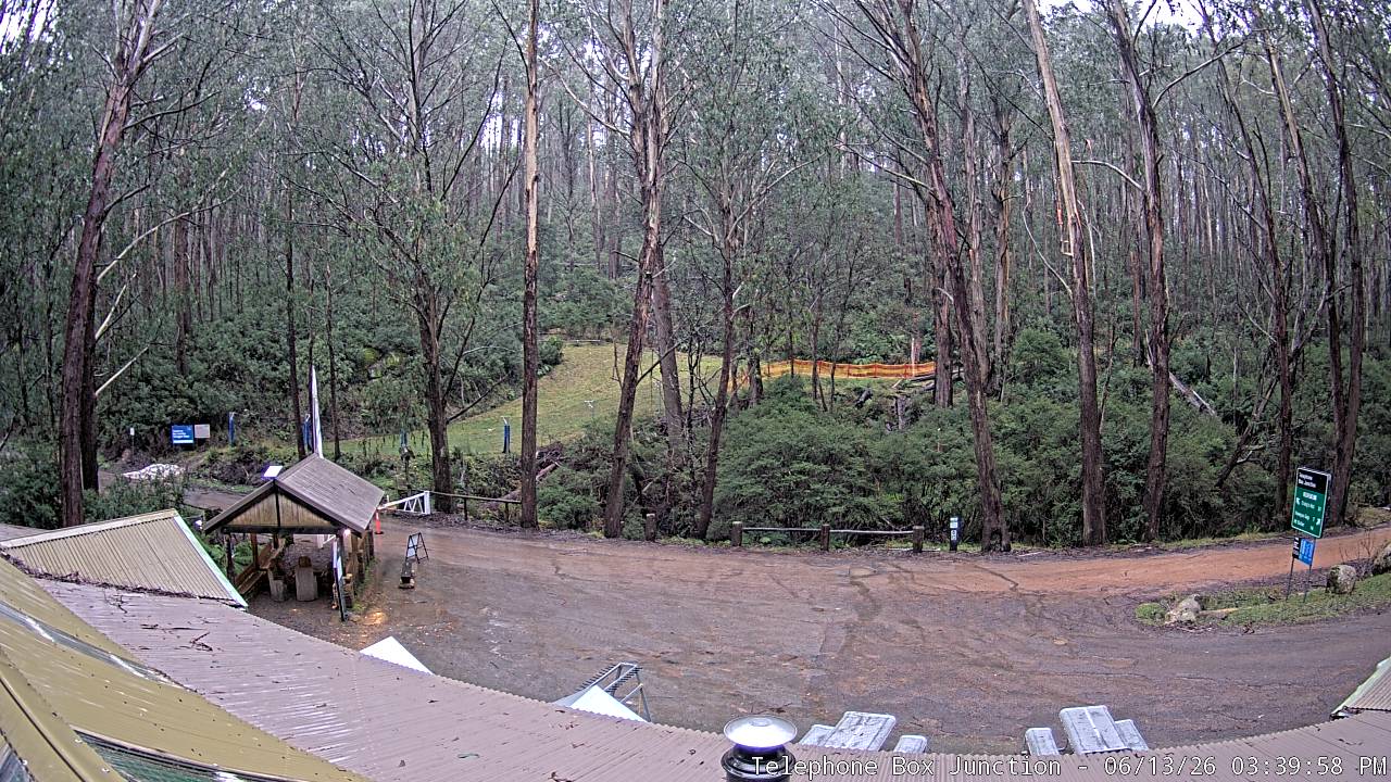 Mt Stirling Telephone Box Junction snow cam captured at 13 June 2026, 5:44 am
