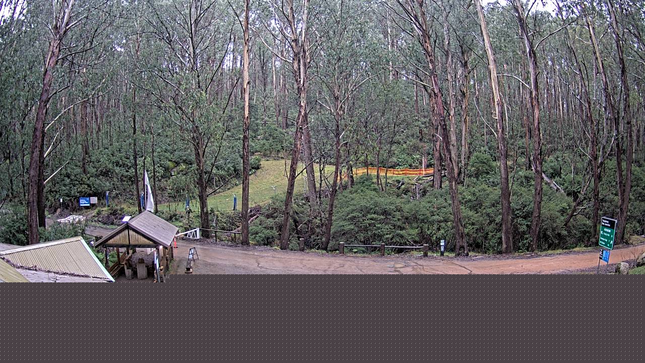 Mt Stirling Telephone Box Junction snow cam captured at 13 June 2026, 5:50 am