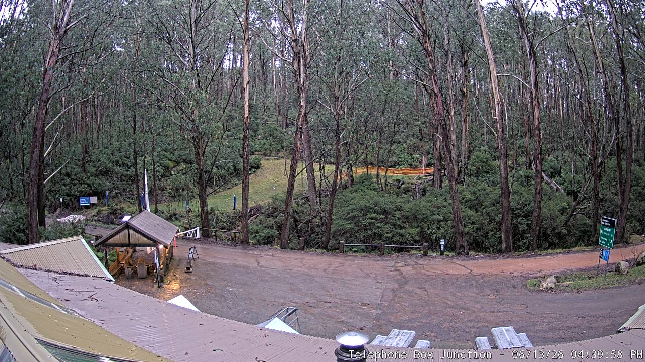 Mt Stirling Telephone Box Junction snow cam captured at 13 June 2026, 6:44 am