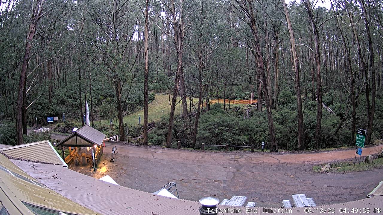 Mt Stirling Telephone Box Junction snow cam captured at 13 June 2026, 6:50 am