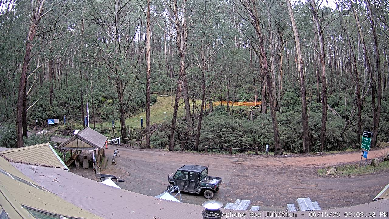 Mt Stirling Telephone Box Junction snow cam captured at 15 June 2026, 4:13 am