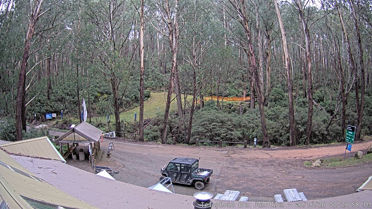 Mt Stirling Telephone Box Junction snow cam captured at 15 June 2026, 4:31 am