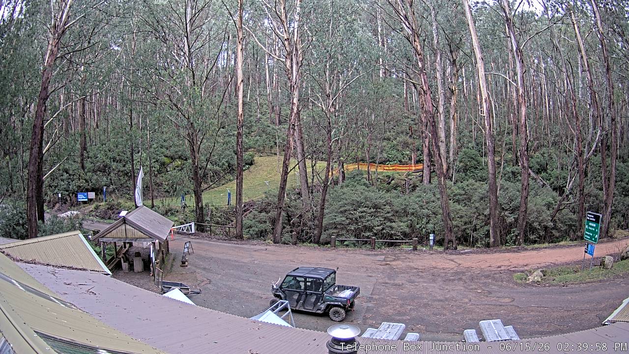 Mt Stirling Telephone Box Junction snow cam captured at 15 June 2026, 4:43 am
