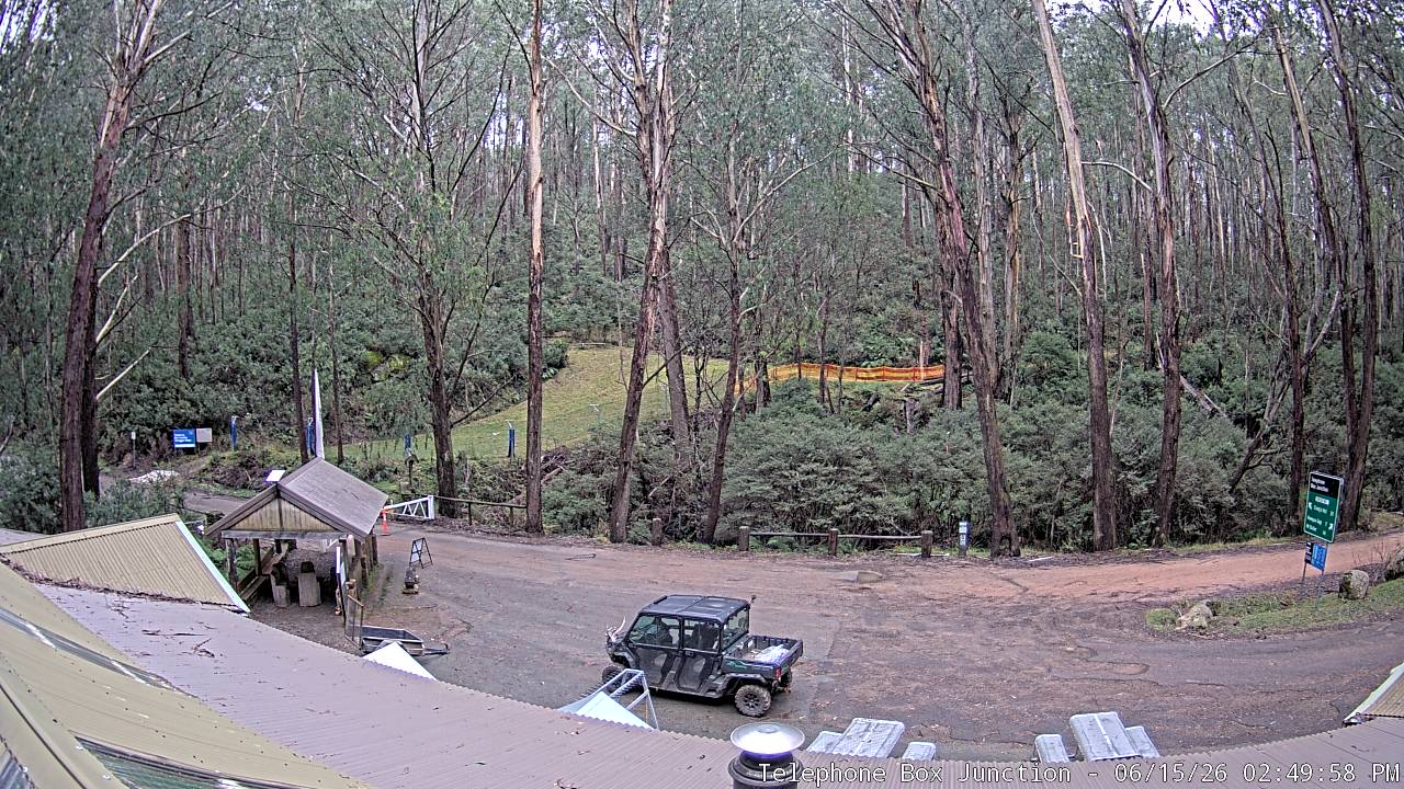 Mt Stirling Telephone Box Junction snow cam captured at 15 June 2026, 4:55 am