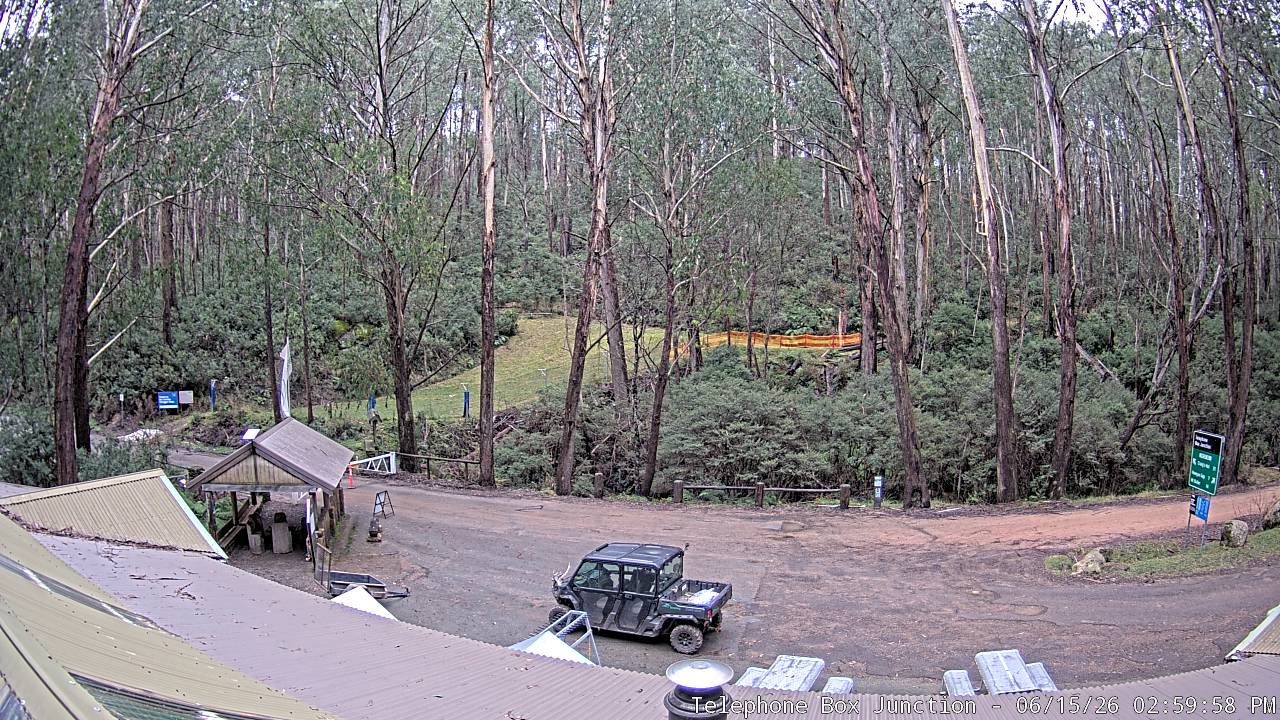 Mt Stirling Telephone Box Junction snow cam captured at 15 June 2026, 5:01 am
