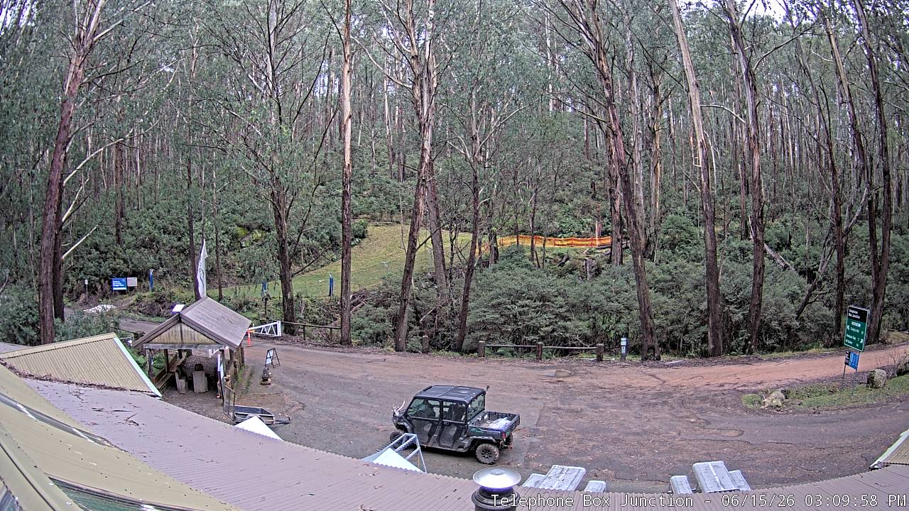 Mt Stirling Telephone Box Junction snow cam captured at 15 June 2026, 5:13 am