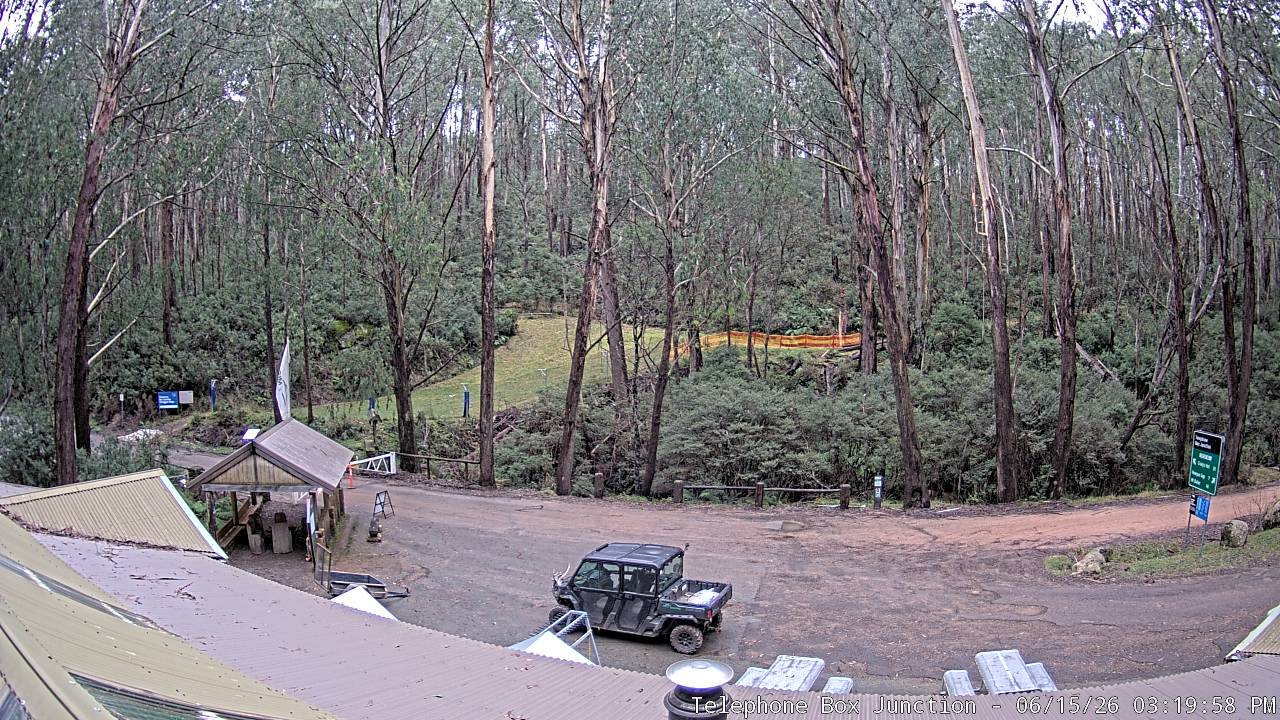 Mt Stirling Telephone Box Junction snow cam captured at 15 June 2026, 5:25 am