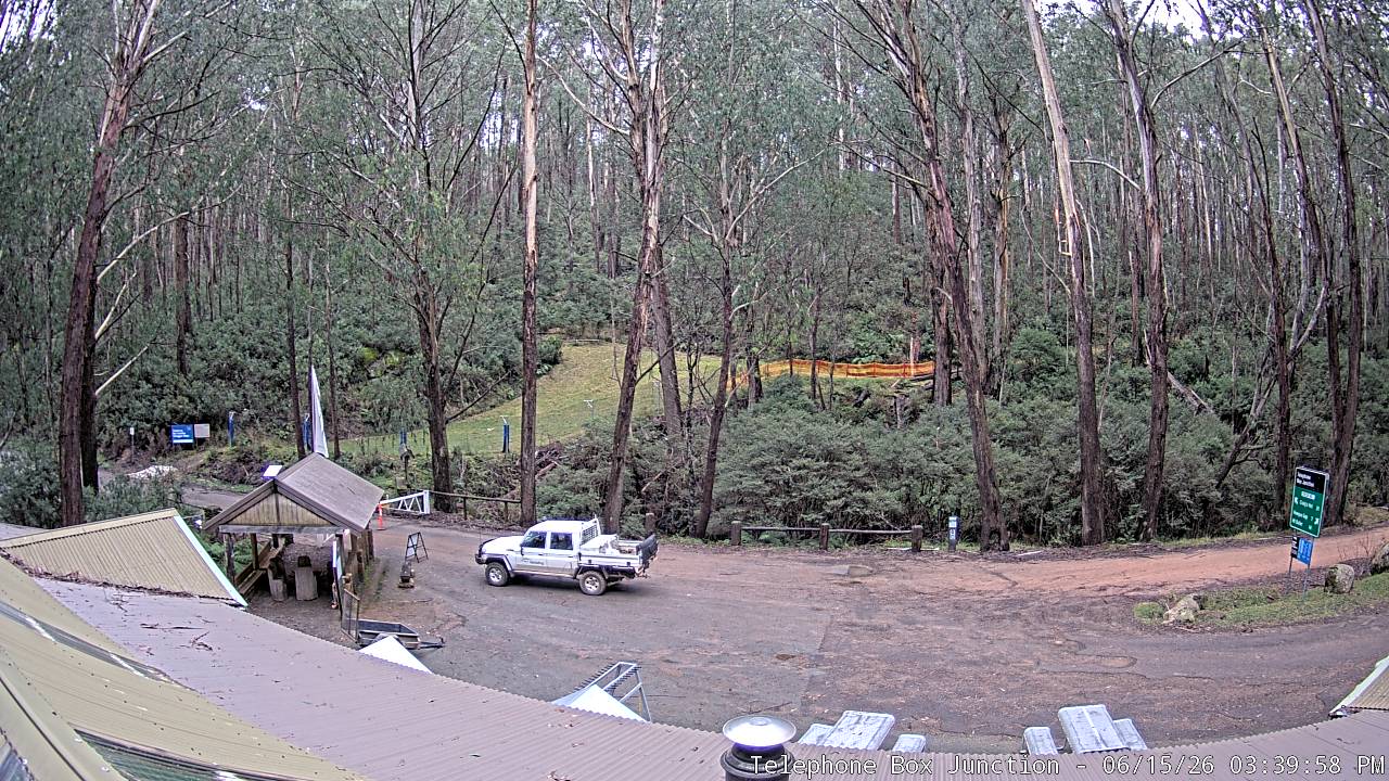 Mt Stirling Telephone Box Junction snow cam captured at 15 June 2026, 5:43 am