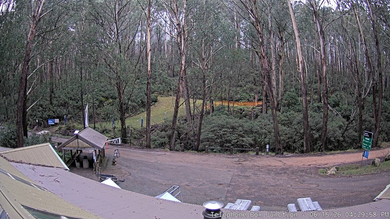 Mt Stirling Telephone Box Junction snow cam captured at 15 June 2026, 6:31 am