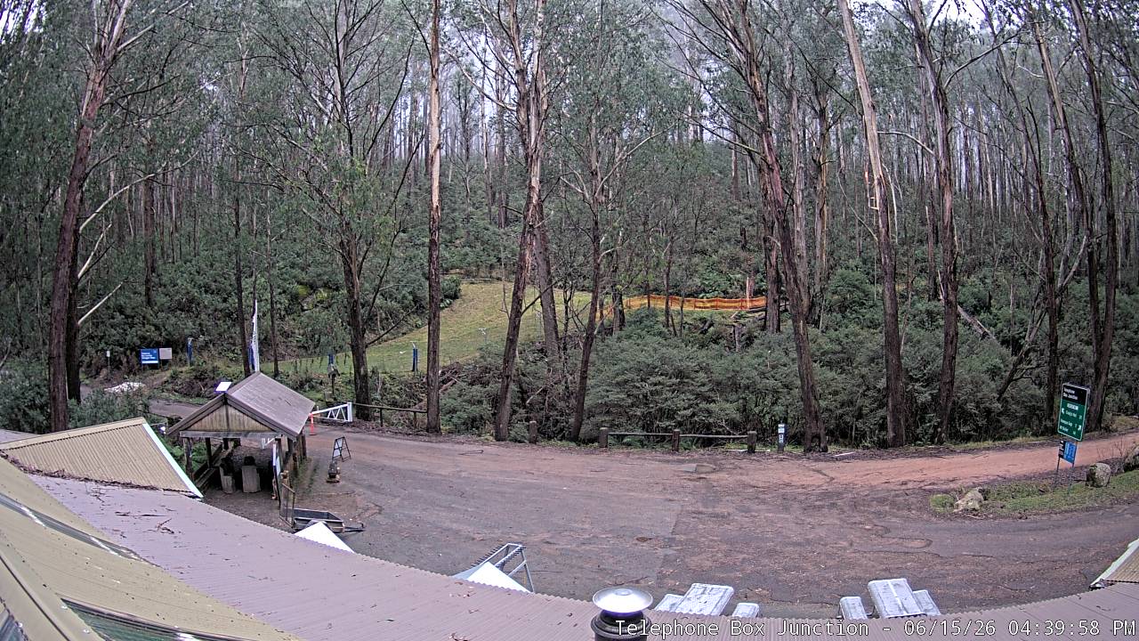 Mt Stirling Telephone Box Junction snow cam captured at 15 June 2026, 6:43 am