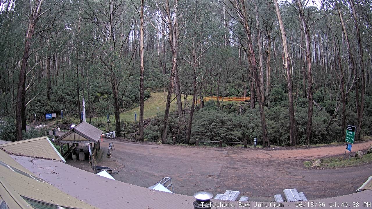 Mt Stirling Telephone Box Junction snow cam captured at 15 June 2026, 6:55 am