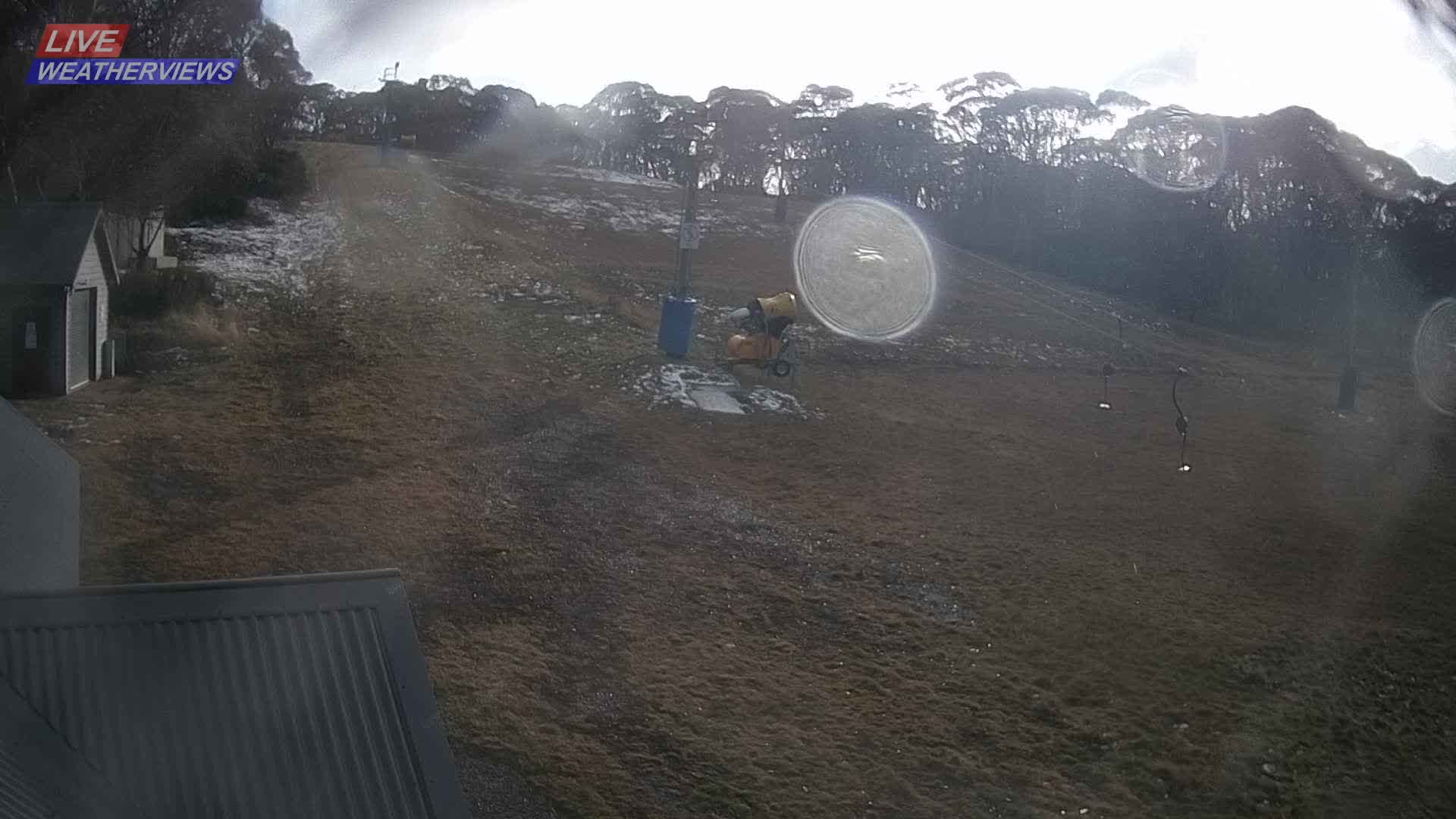 Dinner Plain Cobungra Platter snow cam captured at 8 June 2026, 11:04 pm
