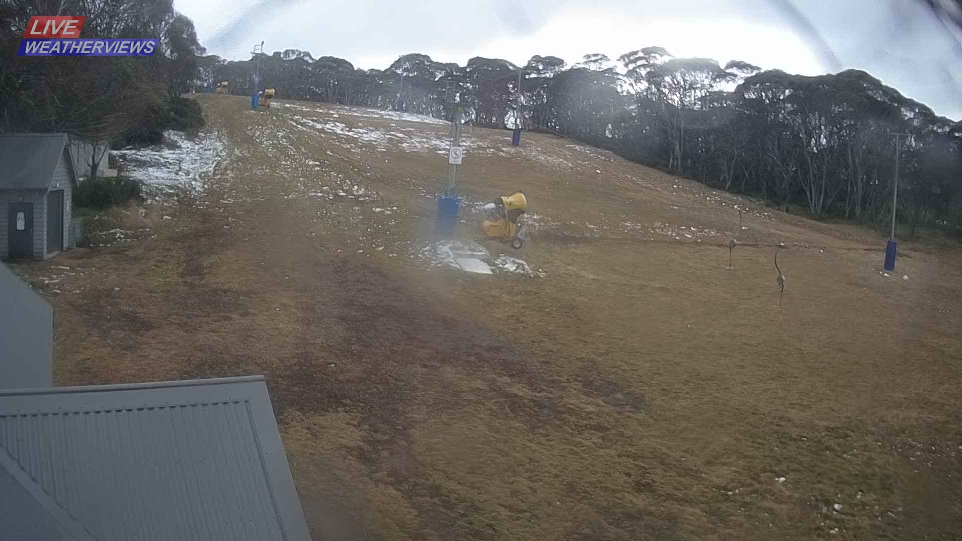 Dinner Plain Cobungra Platter snow cam captured at 8 June 2026, 11:16 pm
