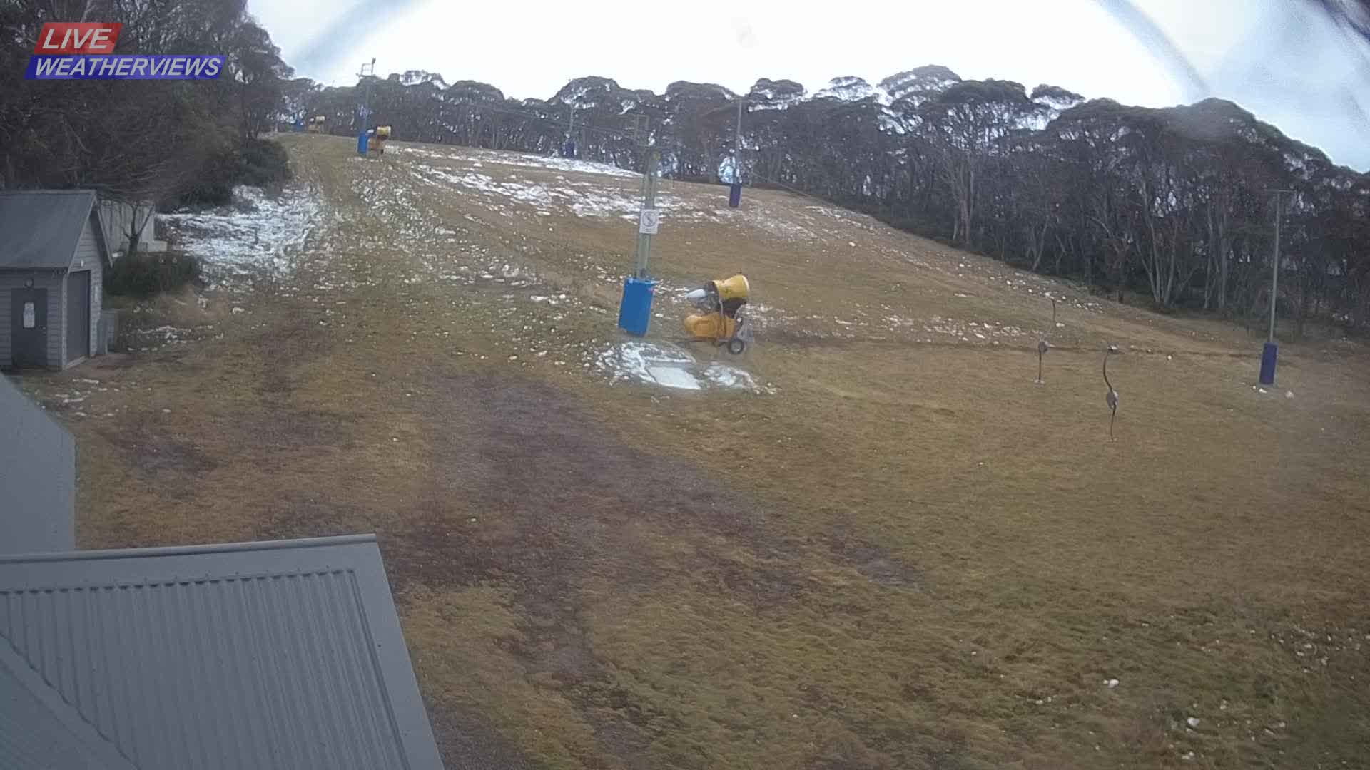 Dinner Plain Cobungra Platter snow cam captured at 8 June 2026, 11:22 pm