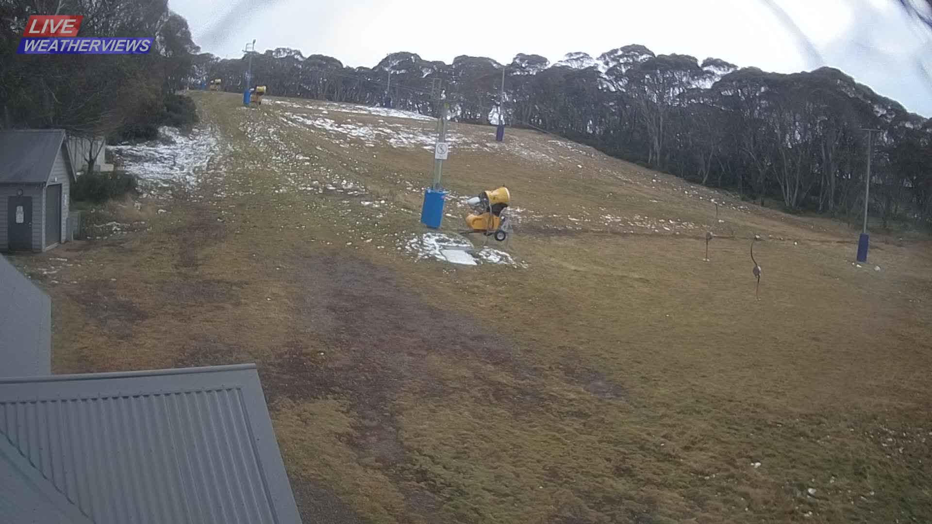 Dinner Plain Cobungra Platter snow cam captured at 8 June 2026, 11:34 pm