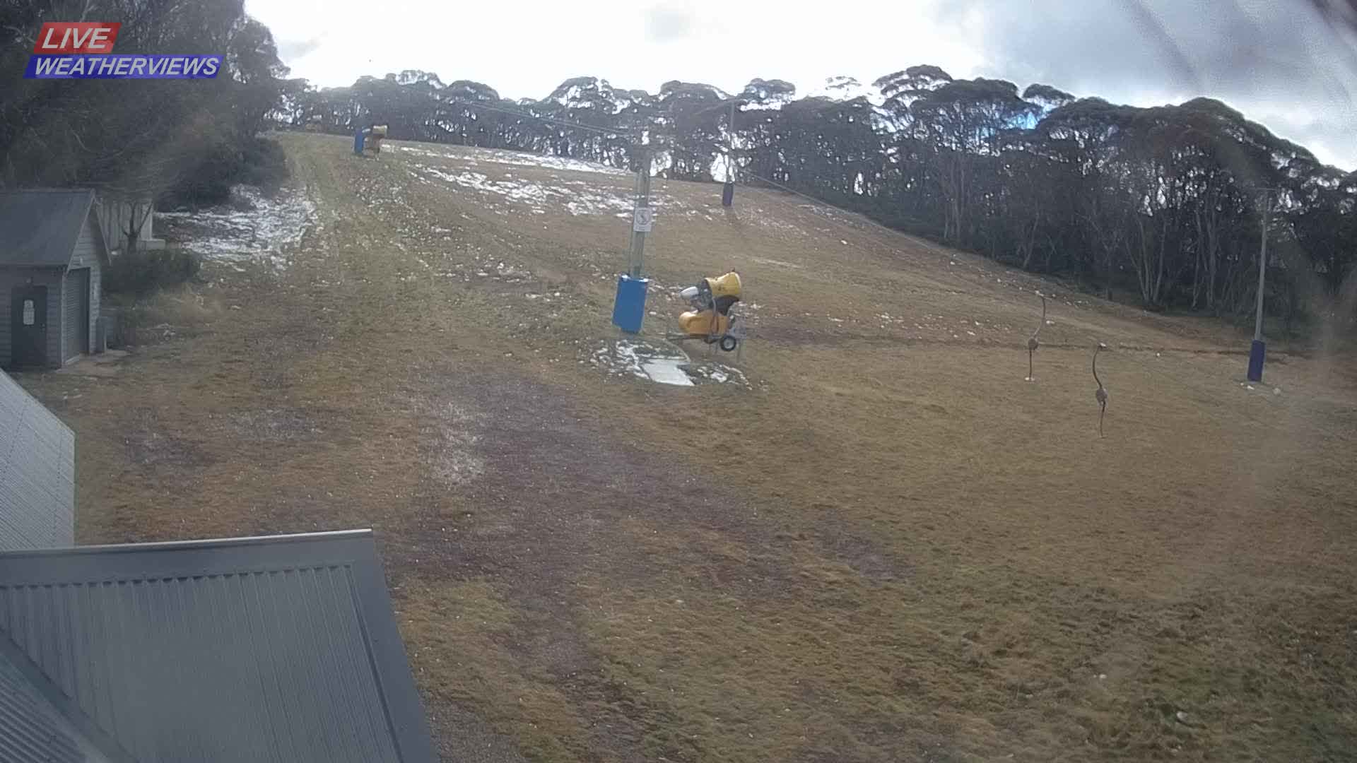 Dinner Plain Cobungra Platter snow cam captured at 9 June 2026, 12:58 am