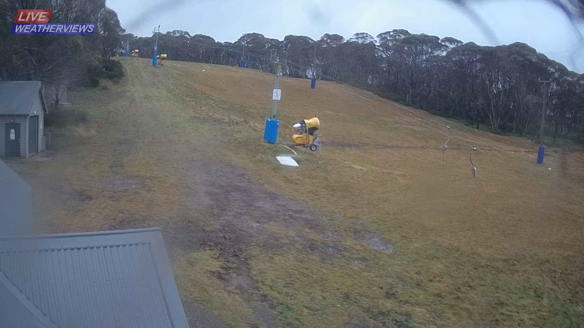 Dinner Plain Cobungra Platter snow cam captured at 9 June 2026, 9:59 pm
