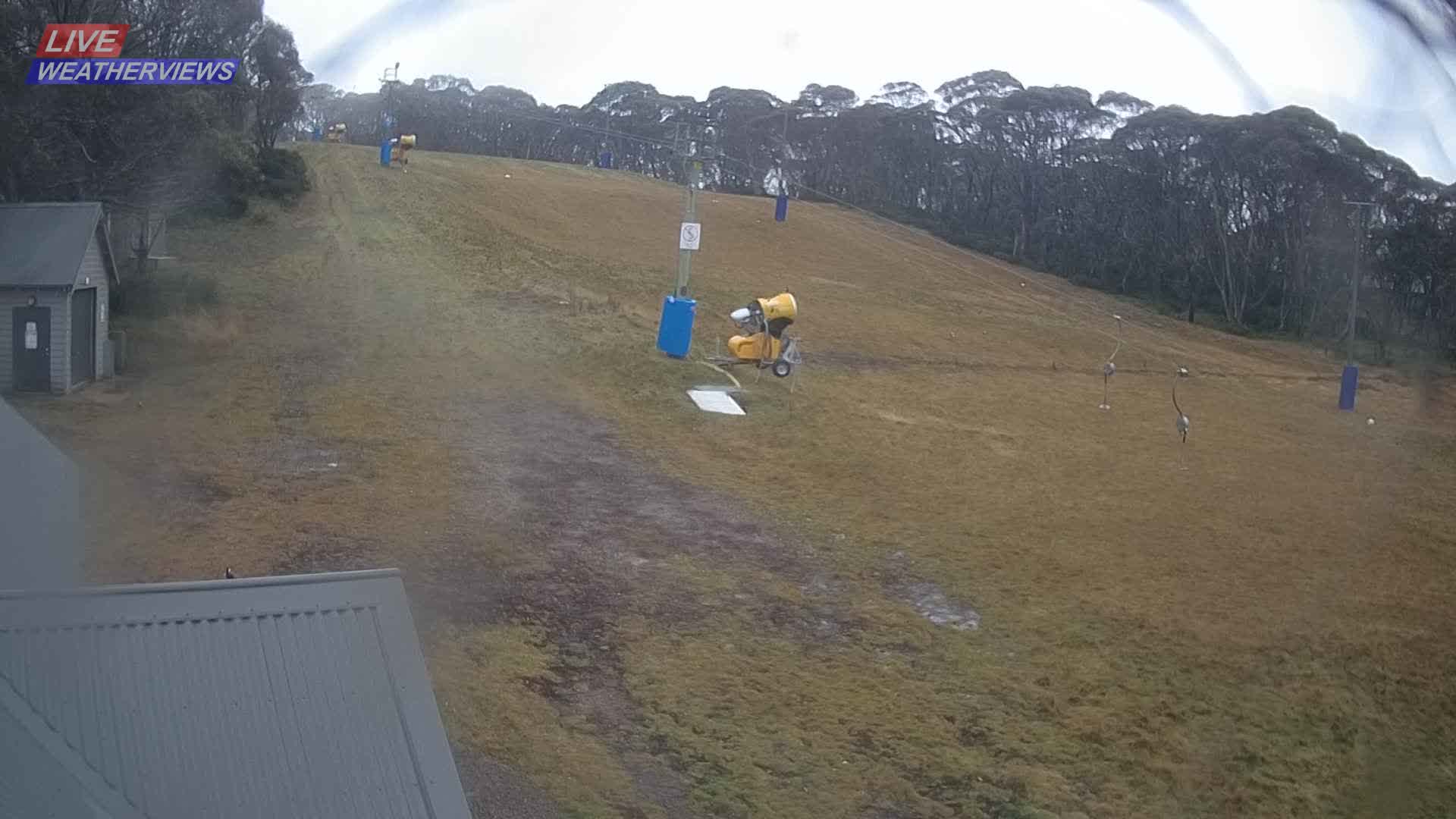Dinner Plain Cobungra Platter snow cam captured at 9 June 2026, 10:59 pm