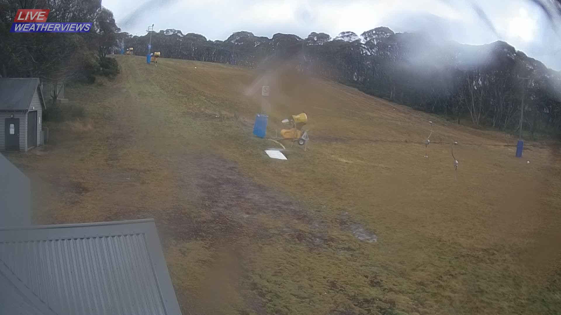 Dinner Plain Cobungra Platter snow cam captured at 9 June 2026, 11:23 pm