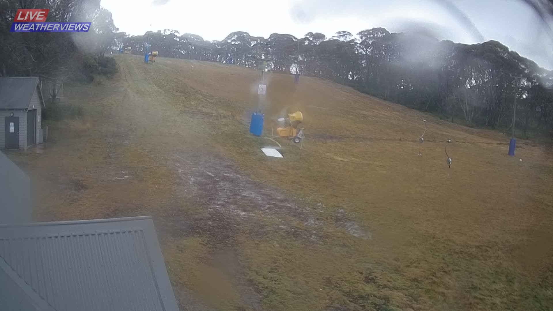 Dinner Plain Cobungra Platter snow cam captured at 9 June 2026, 11:35 pm