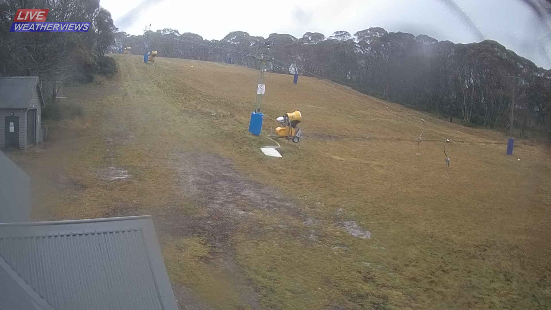 Dinner Plain Cobungra Platter snow cam captured at 9 June 2026, 11:47 pm