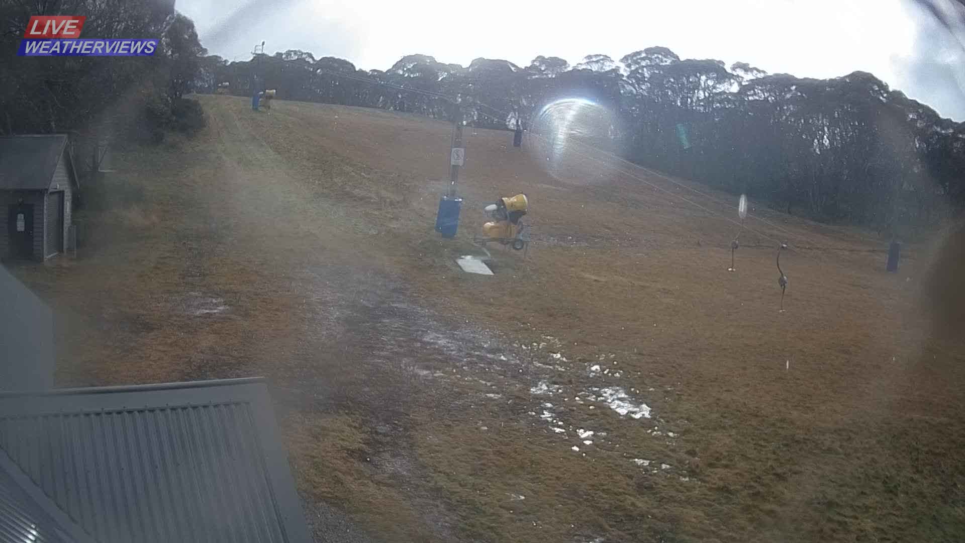 Dinner Plain Cobungra Platter snow cam captured at 9 June 2026, 11:59 pm