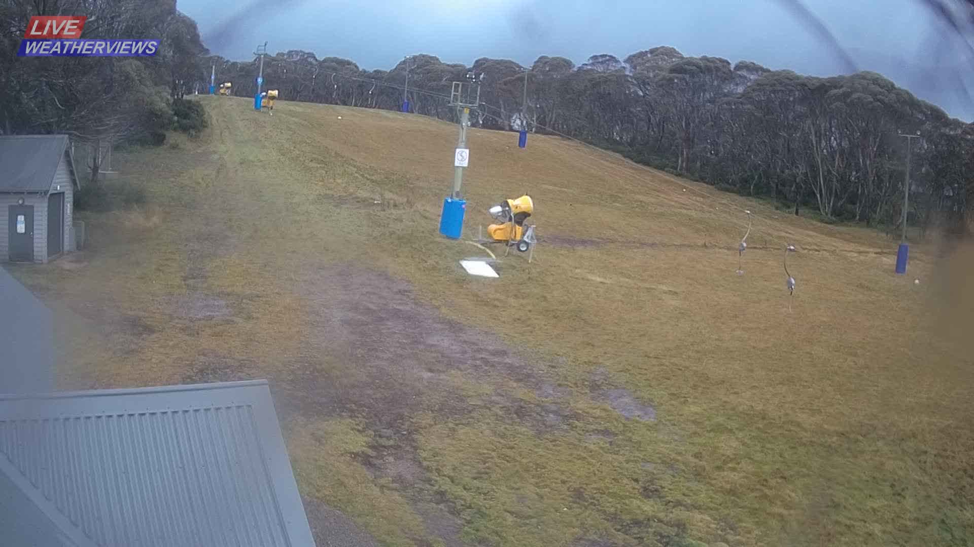 Dinner Plain Cobungra Platter snow cam captured at 10 June 2026, 12:05 am
