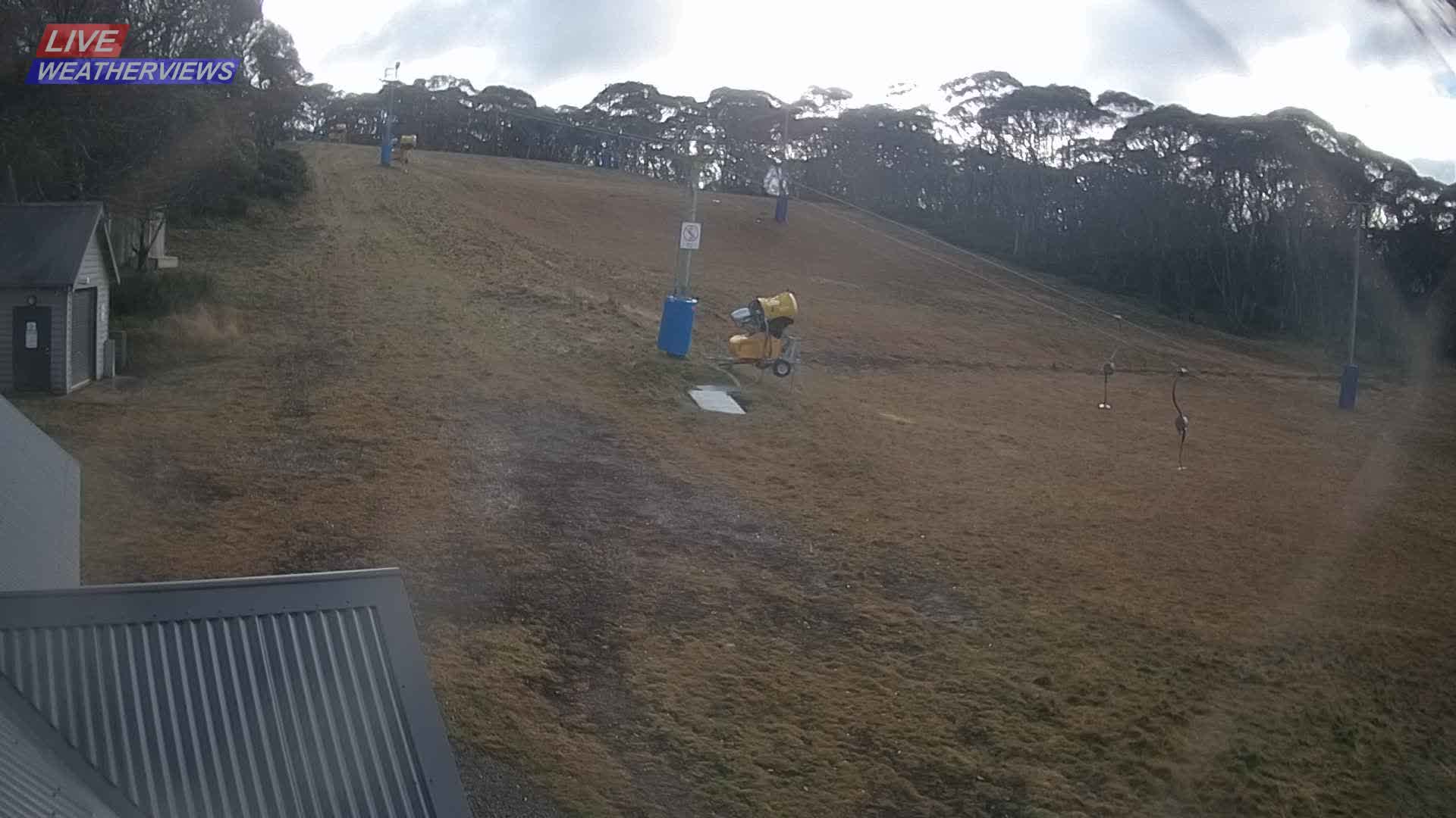 Dinner Plain Cobungra Platter snow cam captured at 10 June 2026, 11:38 pm