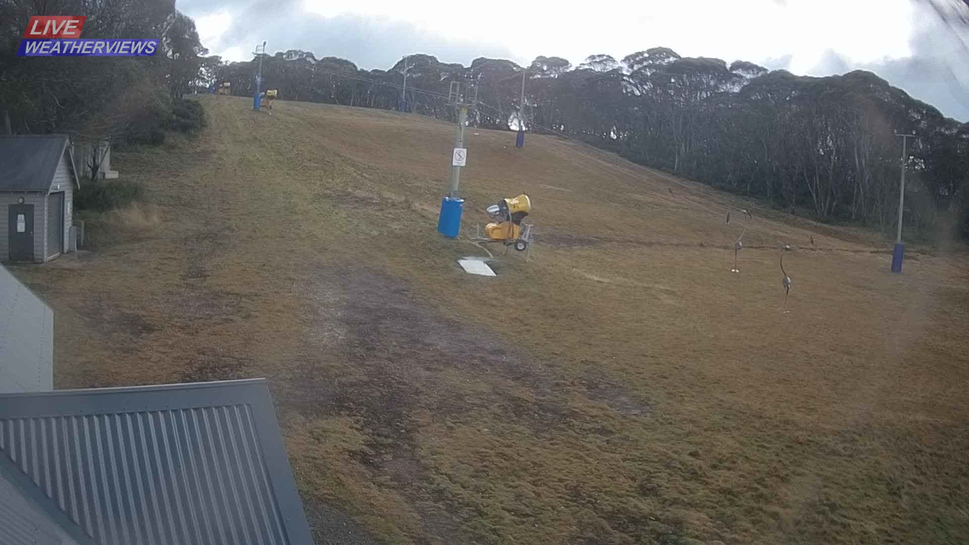 Dinner Plain Cobungra Platter snow cam captured at 10 June 2026, 11:56 pm