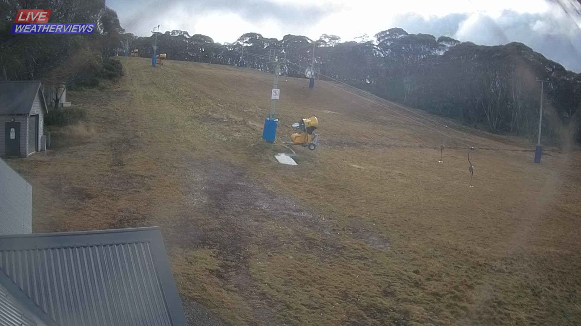 Dinner Plain Cobungra Platter snow cam captured at 11 June 2026, 12:02 am