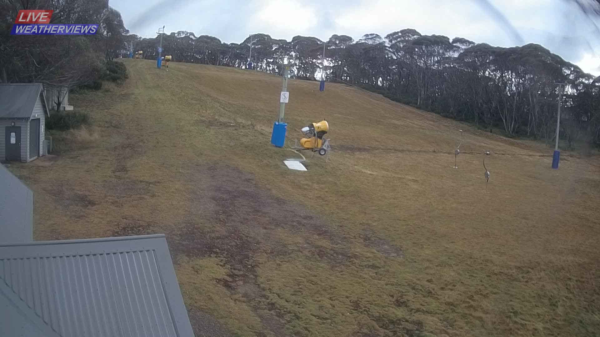 Dinner Plain Cobungra Platter snow cam captured at 11 June 2026, 12:26 am