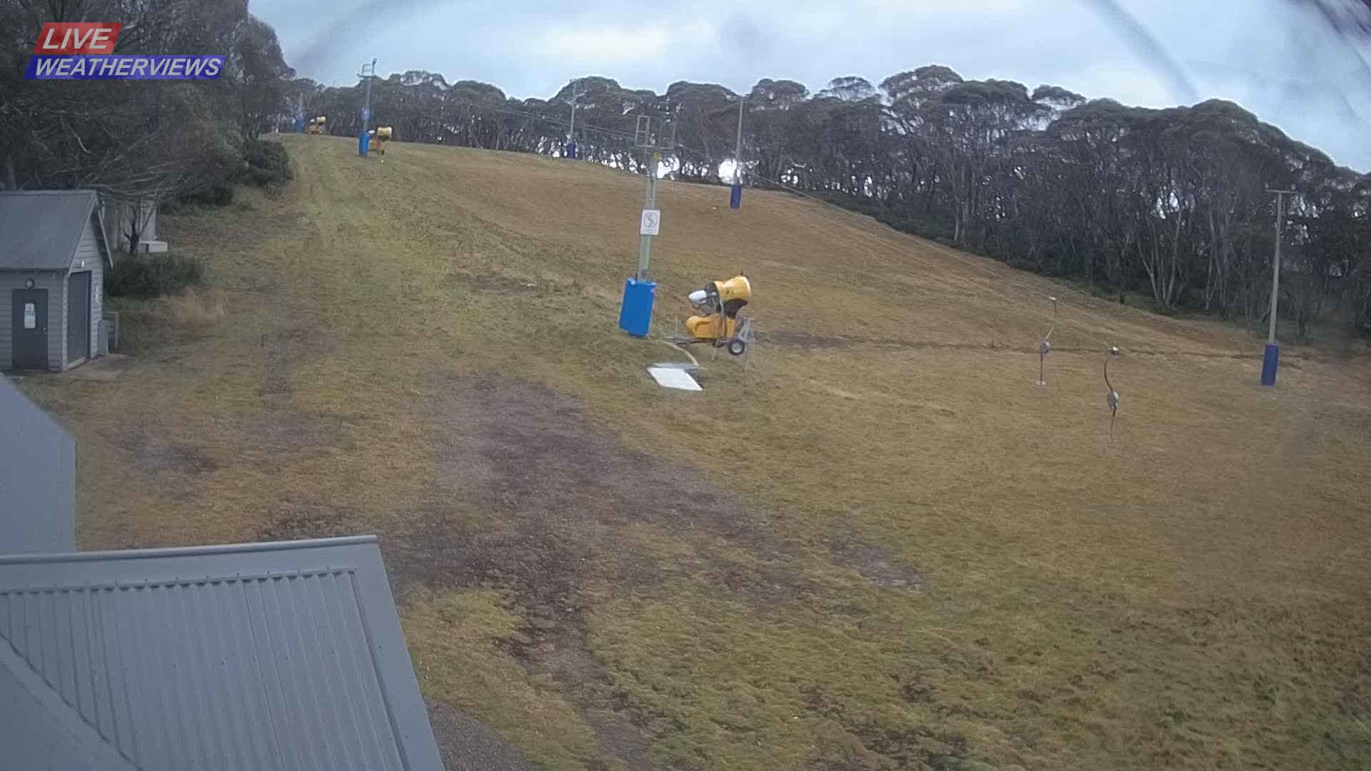 Dinner Plain Cobungra Platter snow cam captured at 11 June 2026, 12:38 am