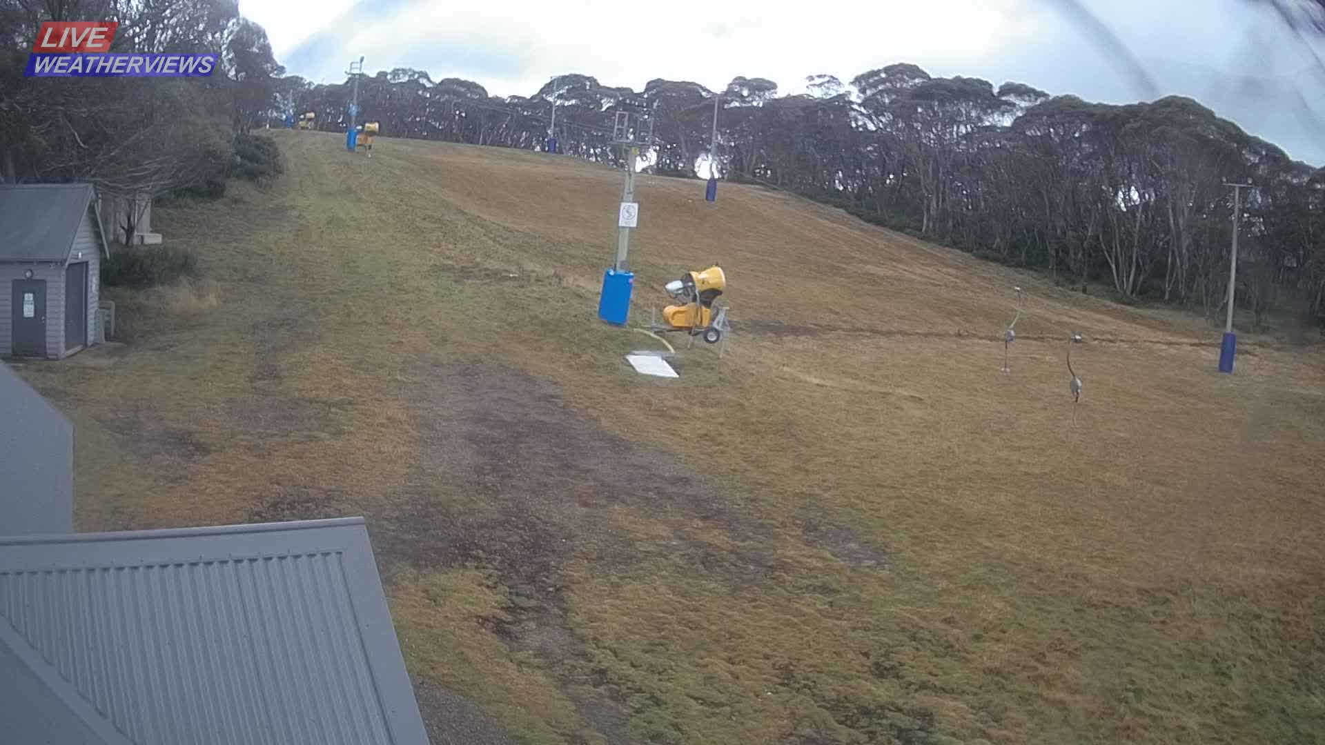 Dinner Plain Cobungra Platter snow cam captured at 11 June 2026, 12:44 am