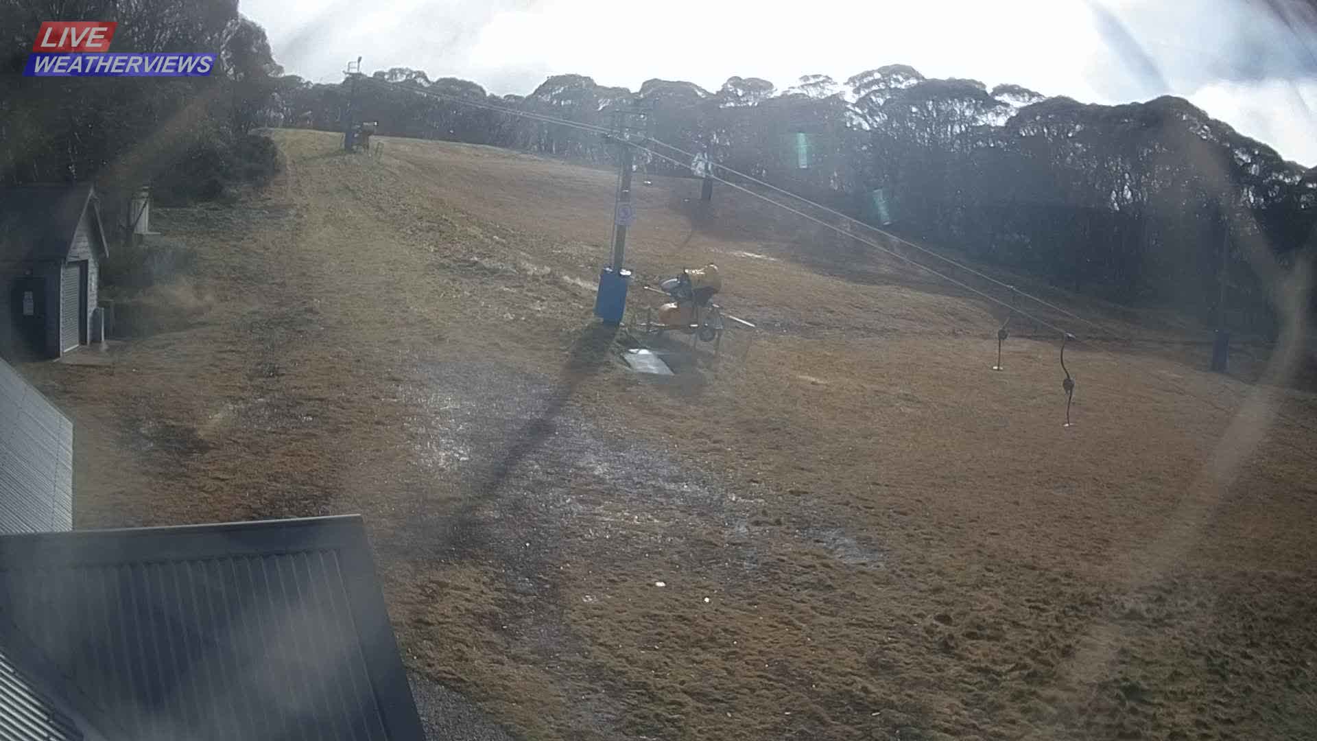 Dinner Plain Cobungra Platter snow cam captured at 14 June 2026, 12:14 am