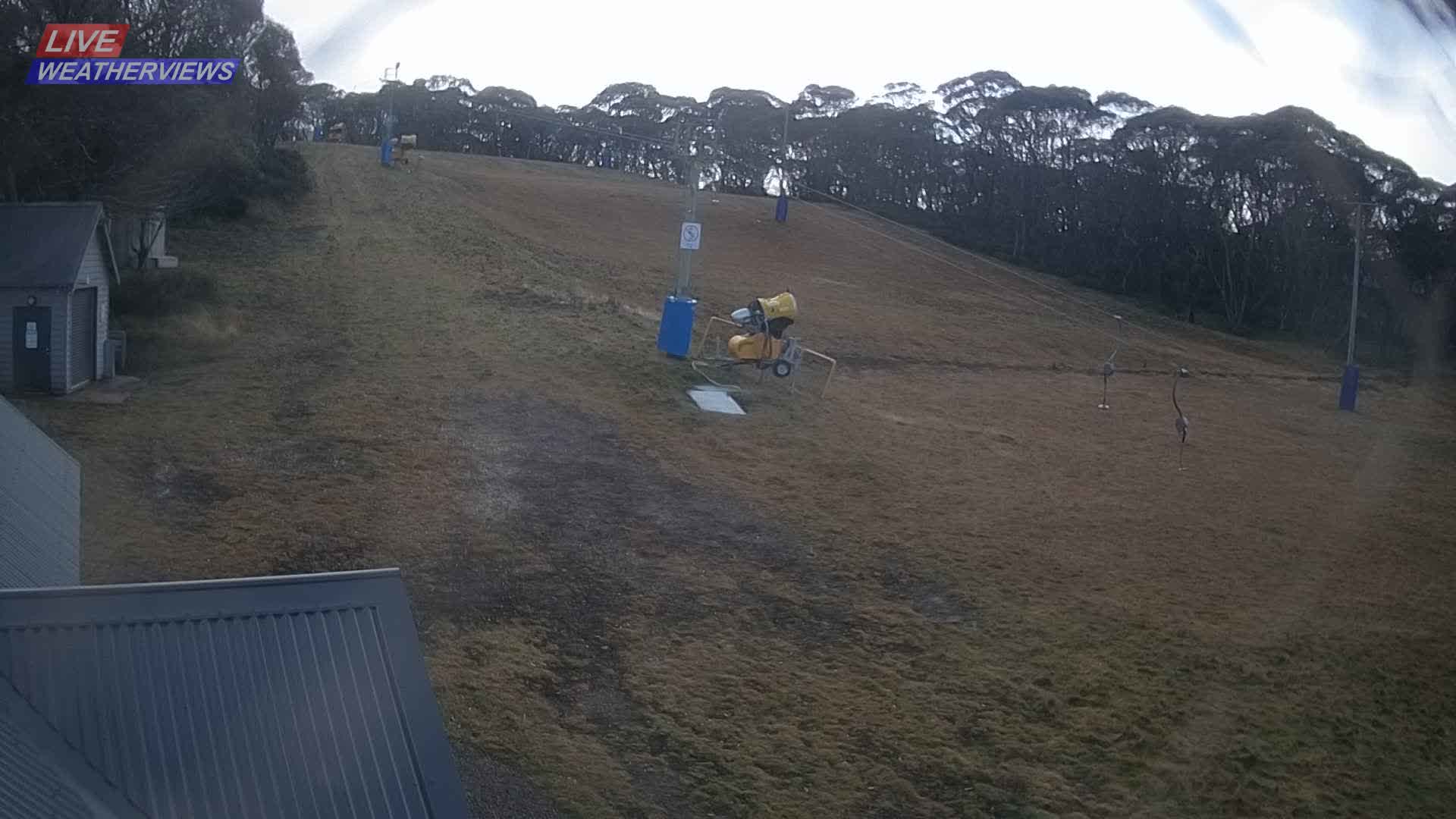 Dinner Plain Cobungra Platter snow cam captured at 14 June 2026, 12:56 am