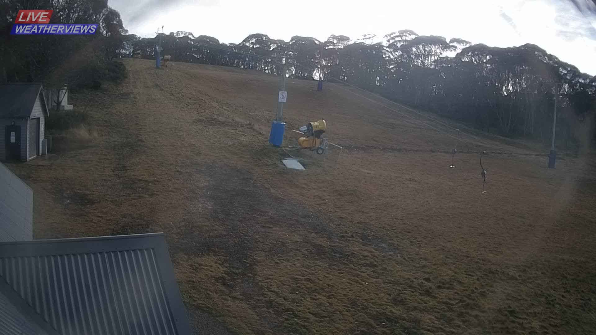 Dinner Plain Cobungra Platter snow cam captured at 14 June 2026, 11:37 pm